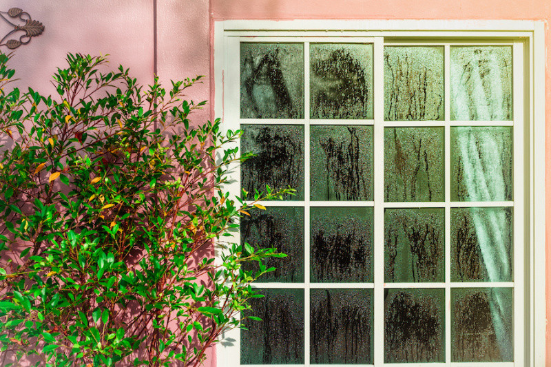Don't Let Your Home Sweat It Out: A Michigan Guide to Humidity Control. Glass door with condensation and a tree, high humidity. Texture of water on a glass. Phenomenon of nature and exterior concept.