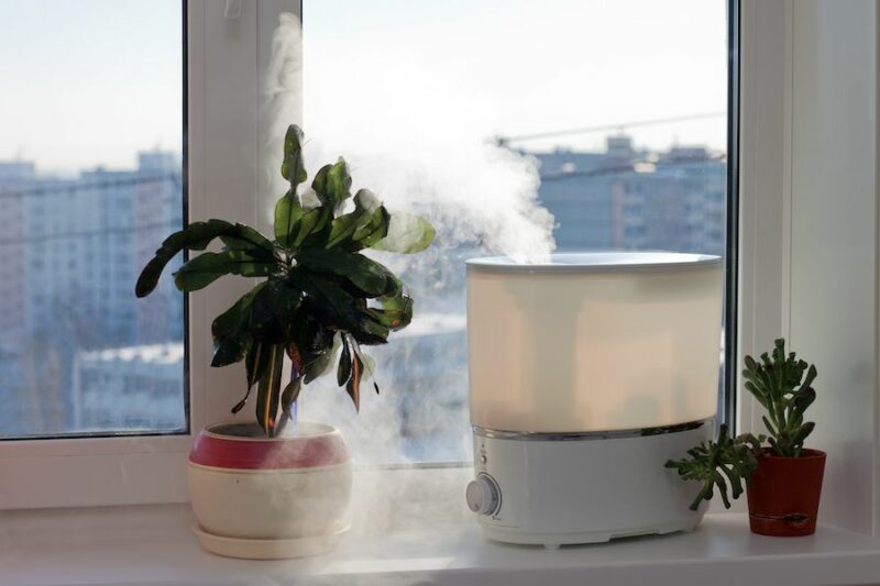 5 Ways to Improve Your Indoor Air Quality. Image shows small plant and humidifier on windowsill.